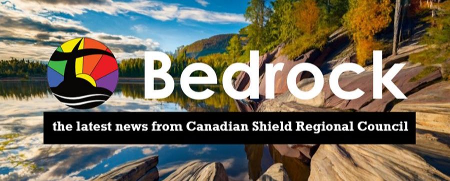 bedrock newsletter banner